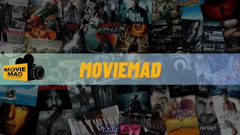 Moviemad 2024 – Download Hollywood and Bollywood HD Movies
